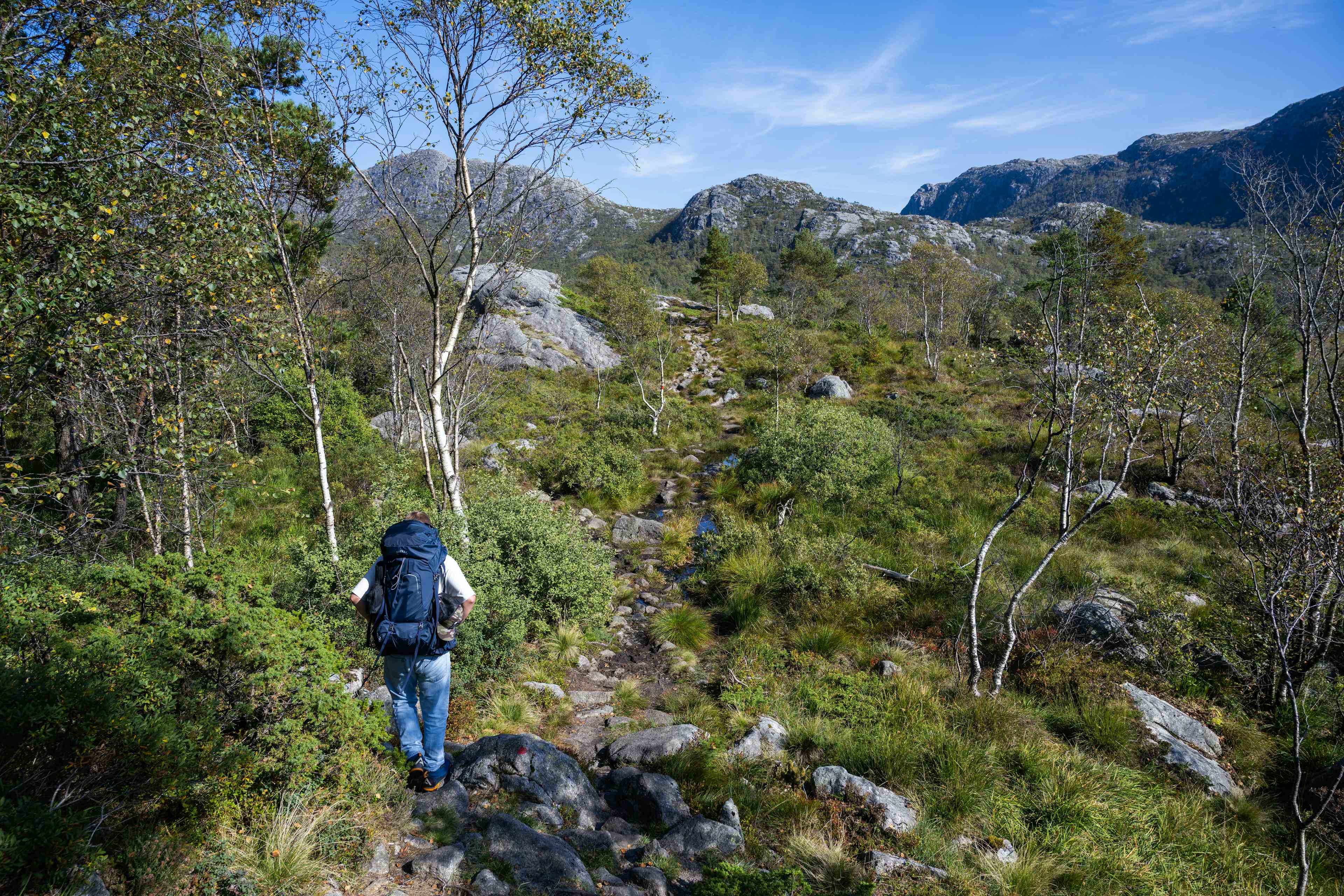 Nature views on a mountain hike with Stavanger Adventure guided hike to Reinaknuten
