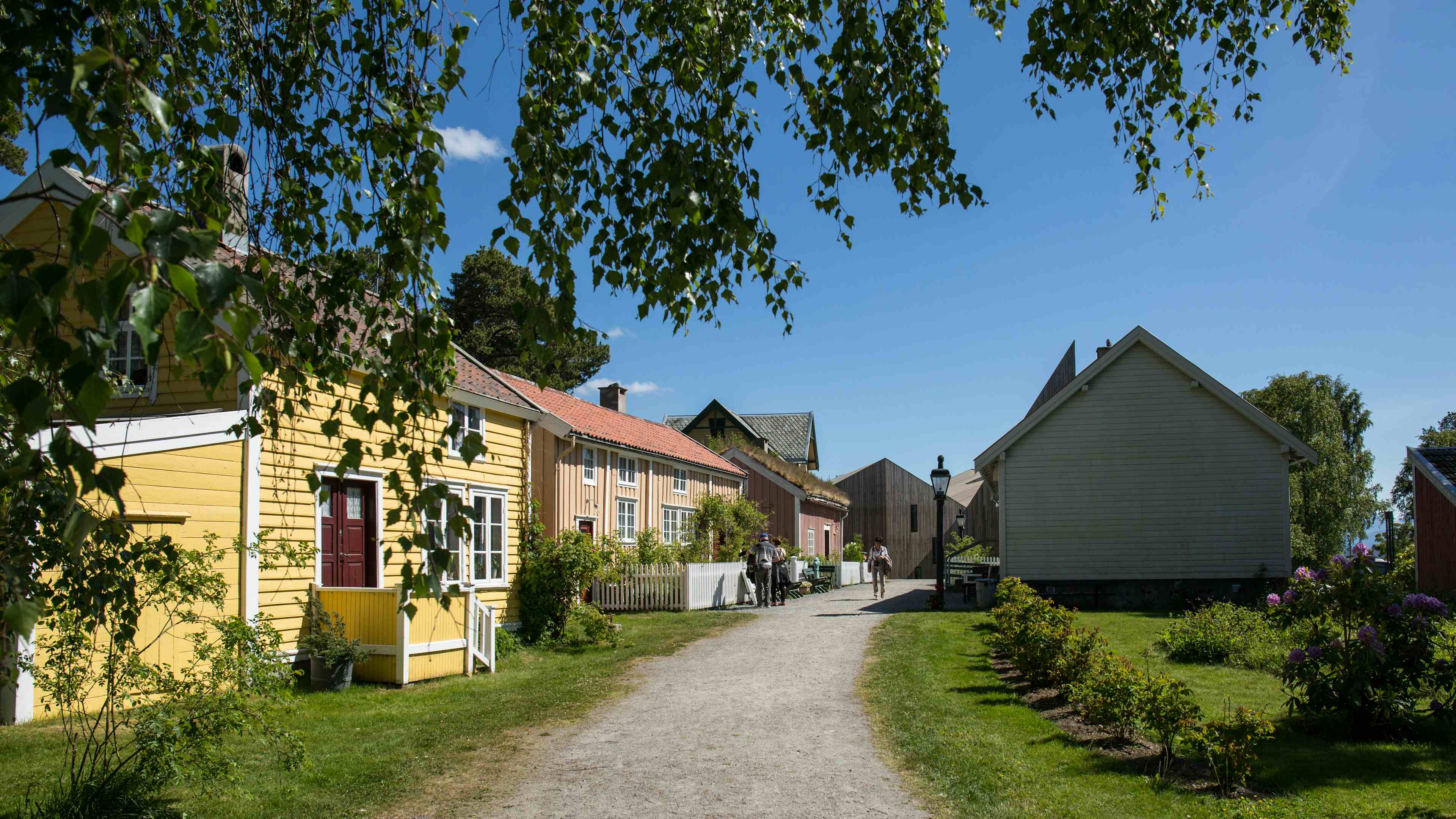 Byrundtur i Molde sentrum