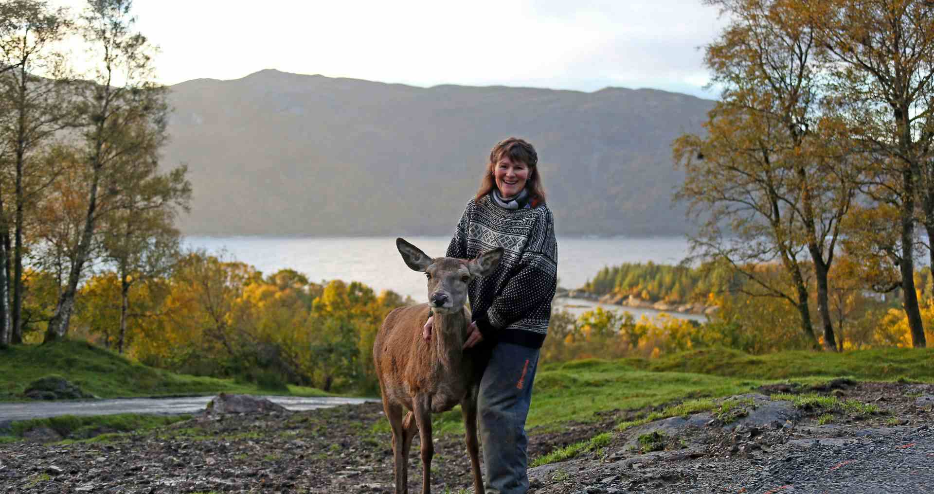 Klapp ein hjort på Norsk Hjortesenter