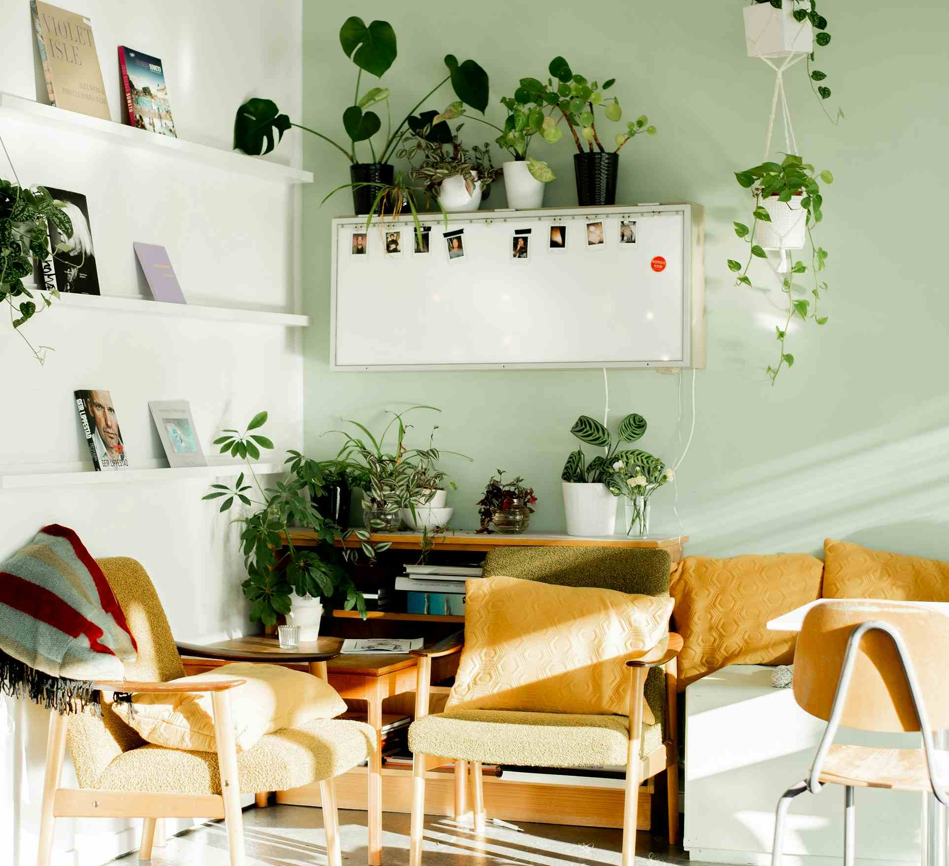 Cafe hos Nordic Light fotohus
