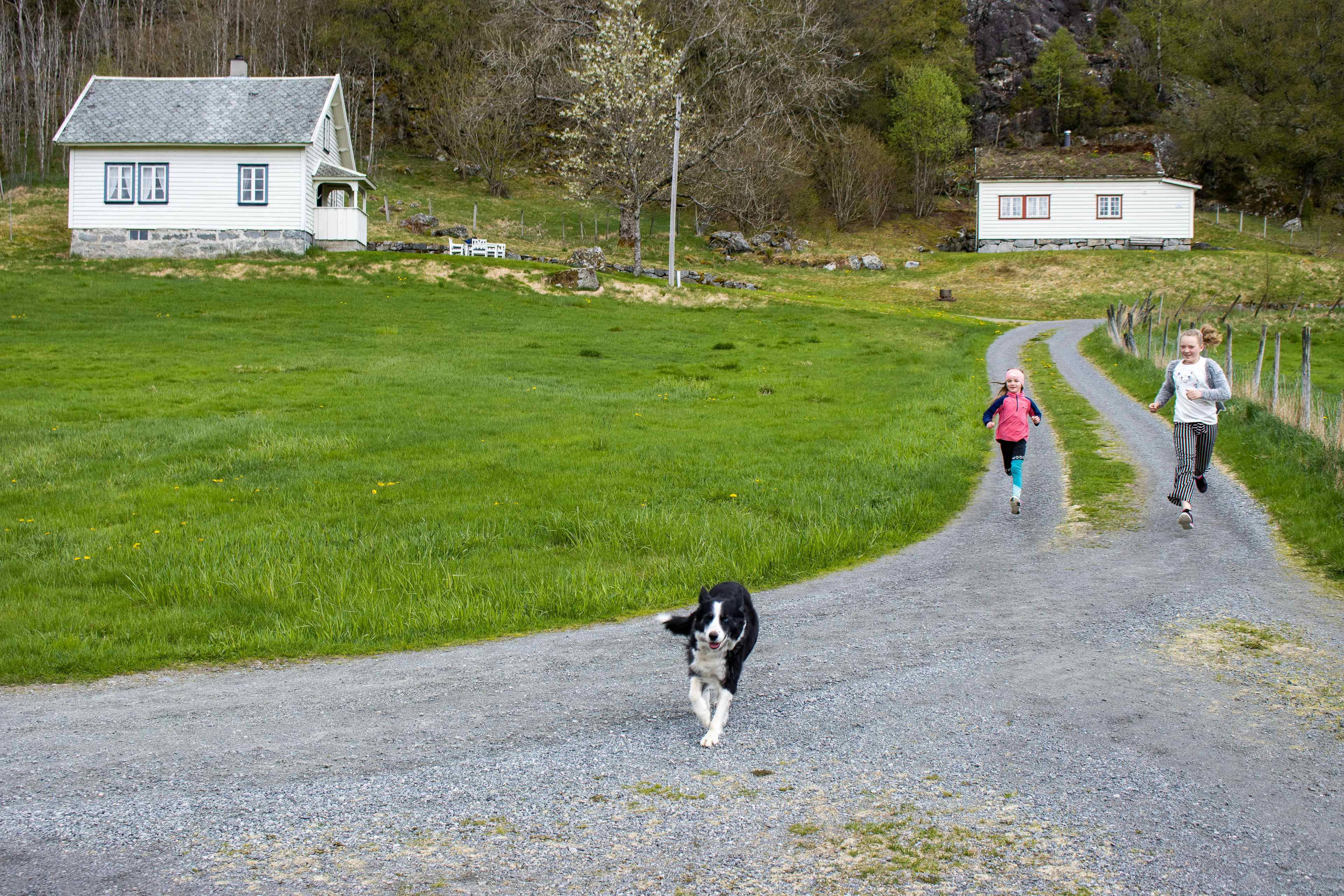 To jenter og en hund som springer ned grusveien fra de to hvite husene.