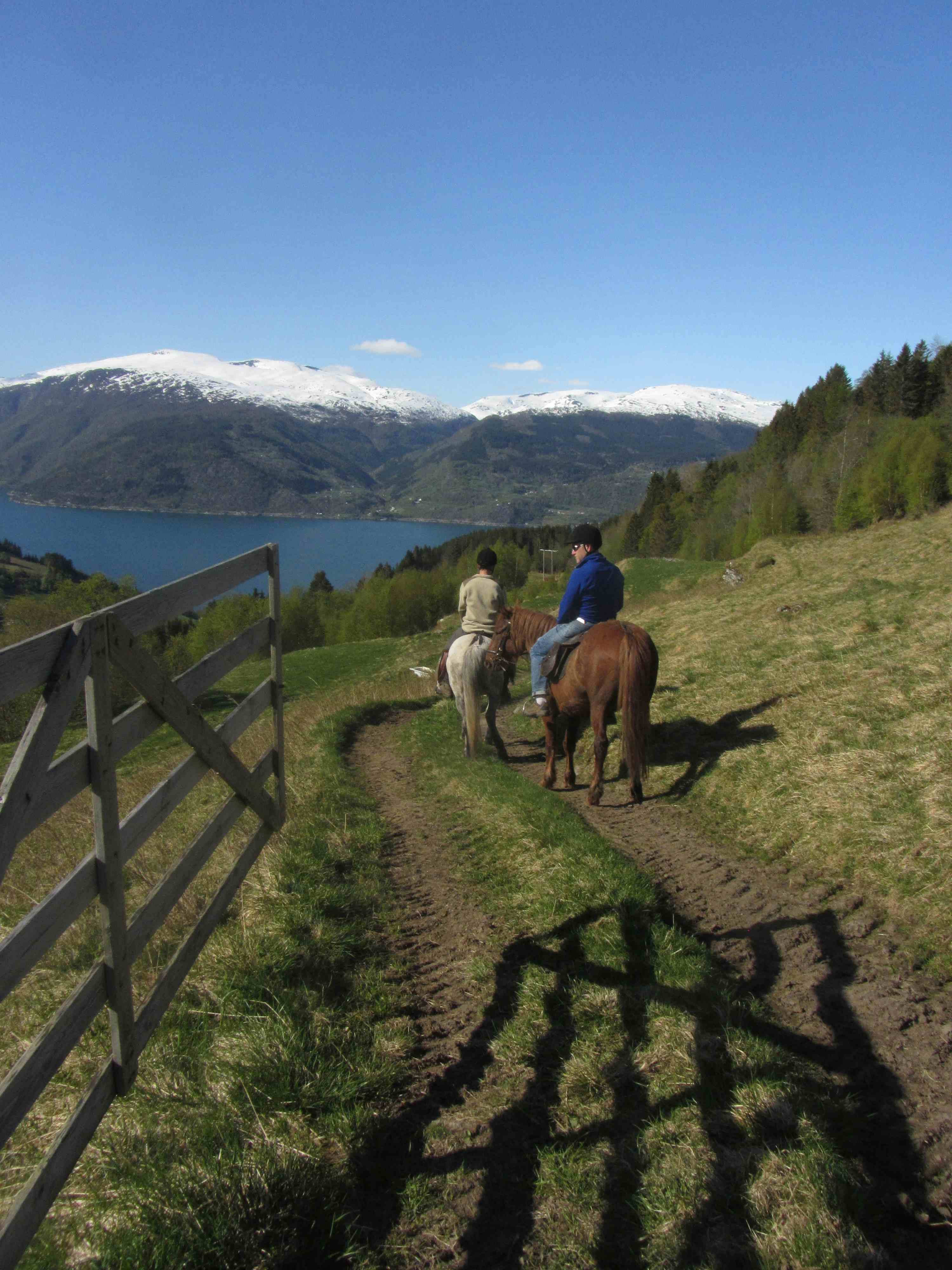 Guida hesteridning med Alm Gard i Feios - Sognefjorden