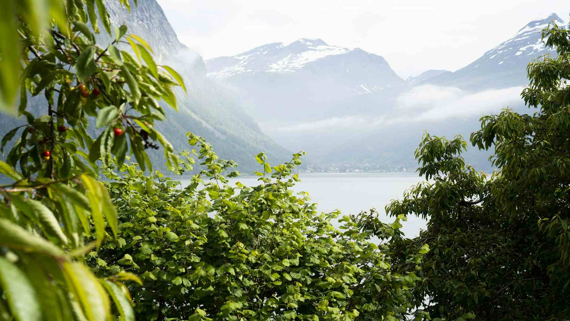 Utsikt mot Bispen fra Trollstigplatået på Trollstigen i Romsdalen.