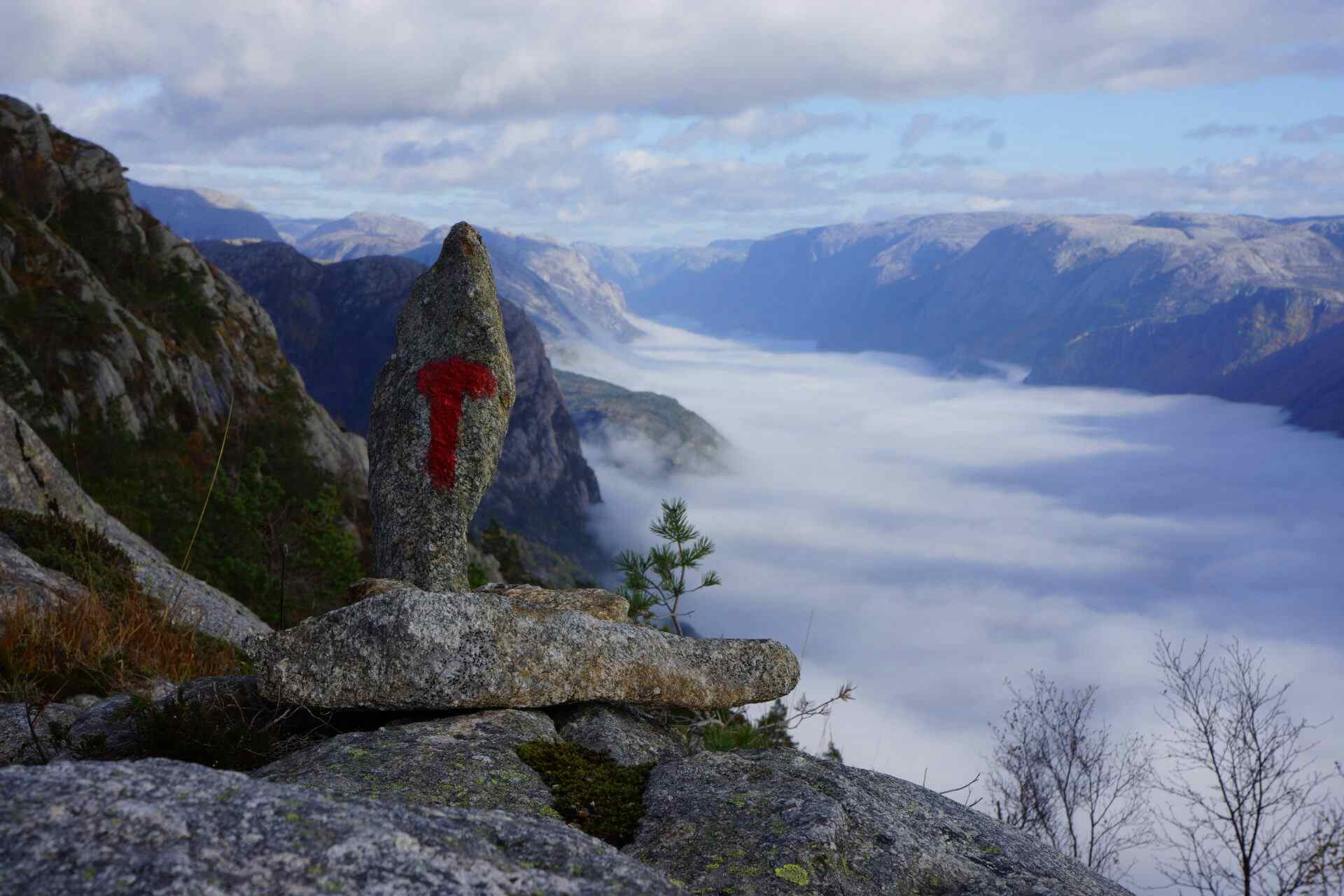 En rød T på en stein med Lysefjorden i bakgrunnen.