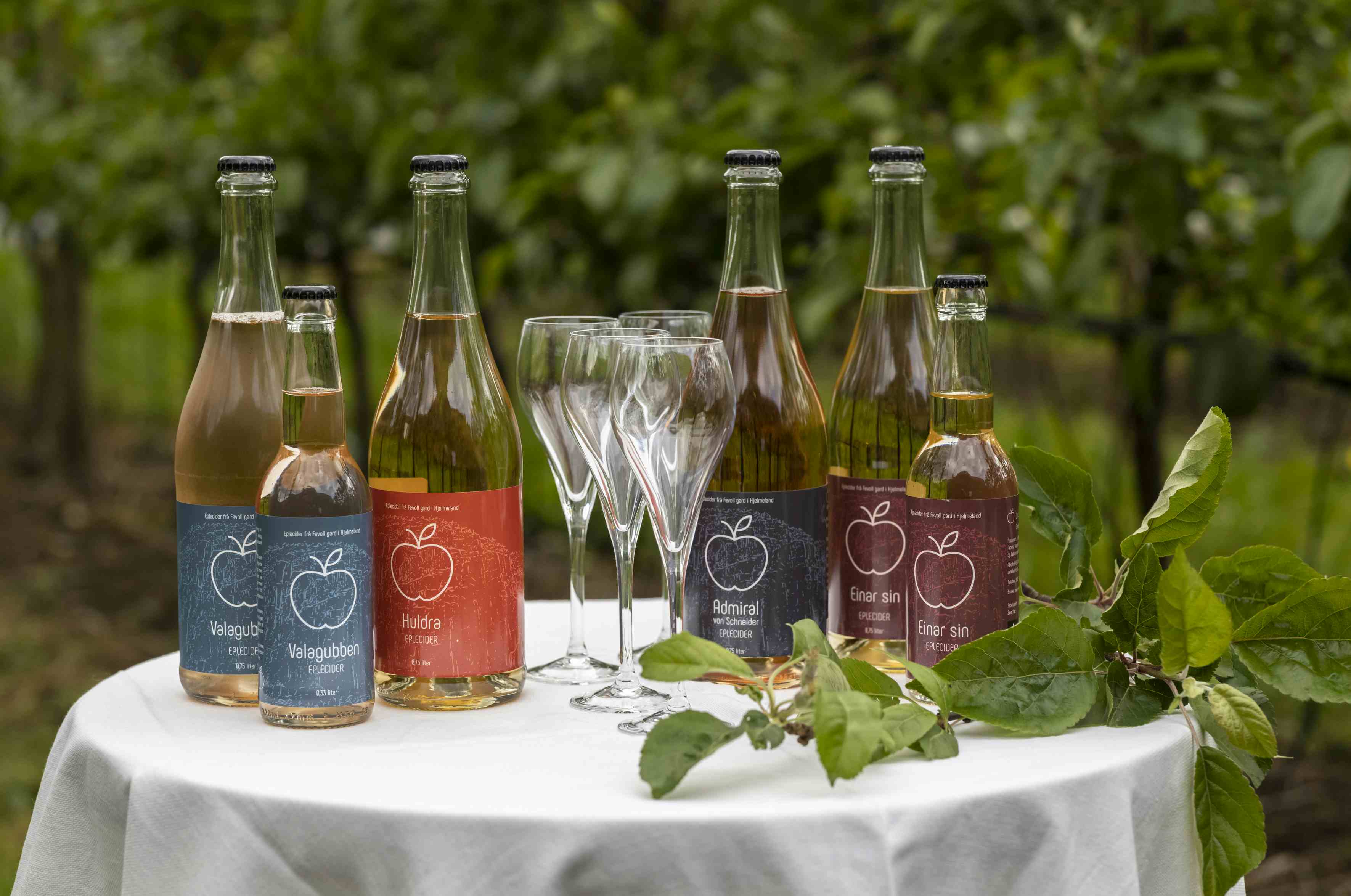 Tre ulike flasker med eplesider i en bøtte med eler og isbiter, omringet av epler og grønt gress.