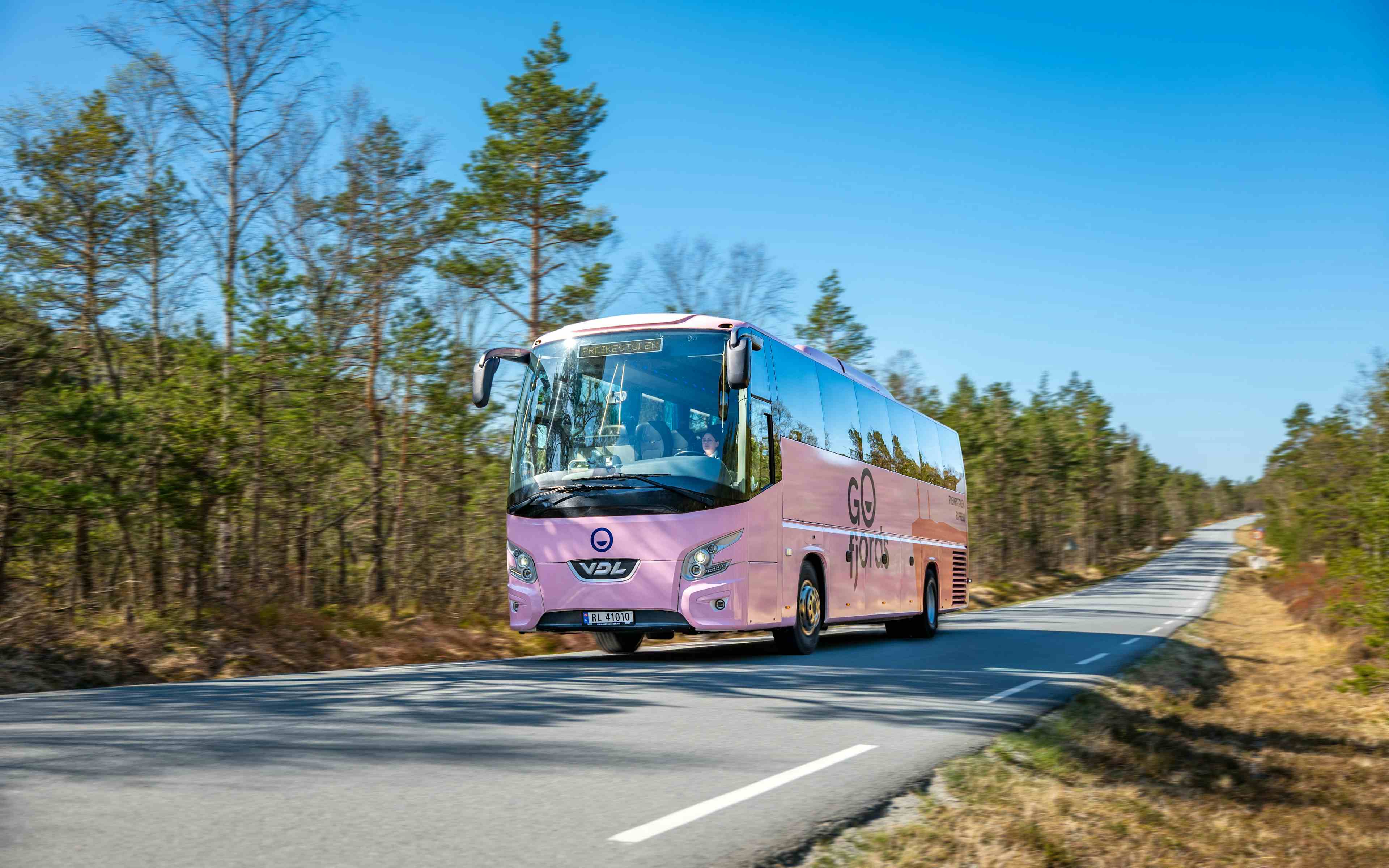 En rosa buss som kjører på en vei gjennom åpent skogsterreng.