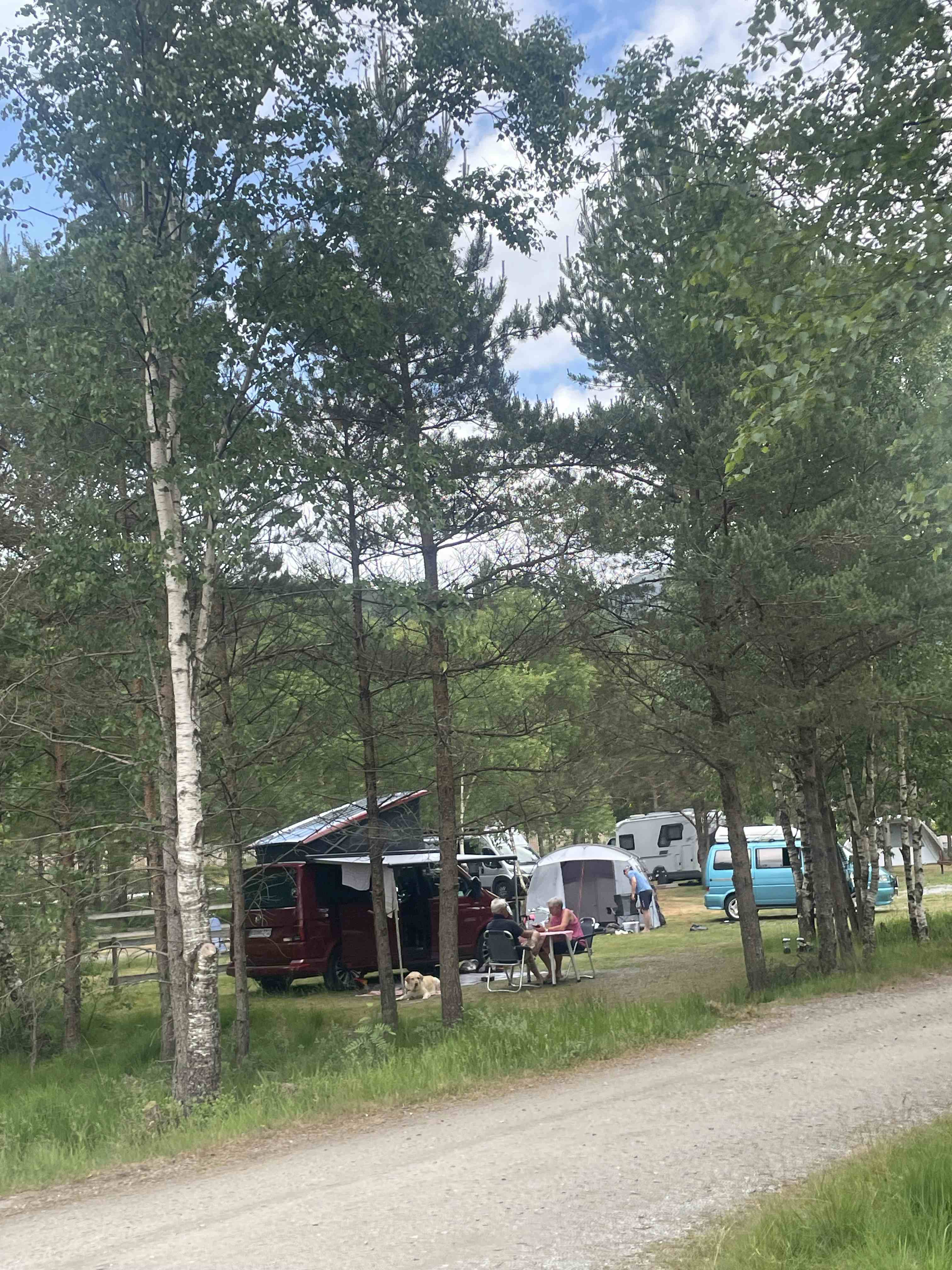 Preikestolen camping