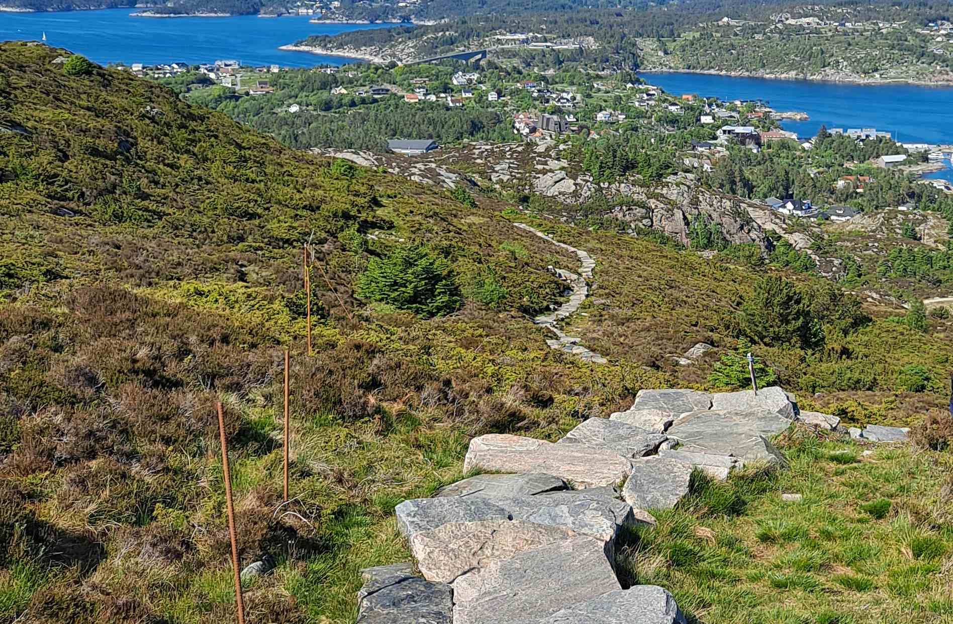 Steintrapper i åpent skogsterreng, sjø og kystlandskap.