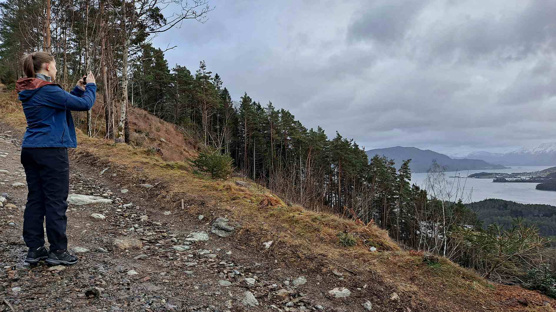 Utsikt fra fjell med skog mot Eidsvik og fjellet Siggjo i horisonten. Foto.