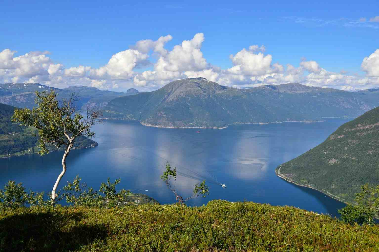 utsikt til Sørfjorden og Folgefonna frå Dronningstien