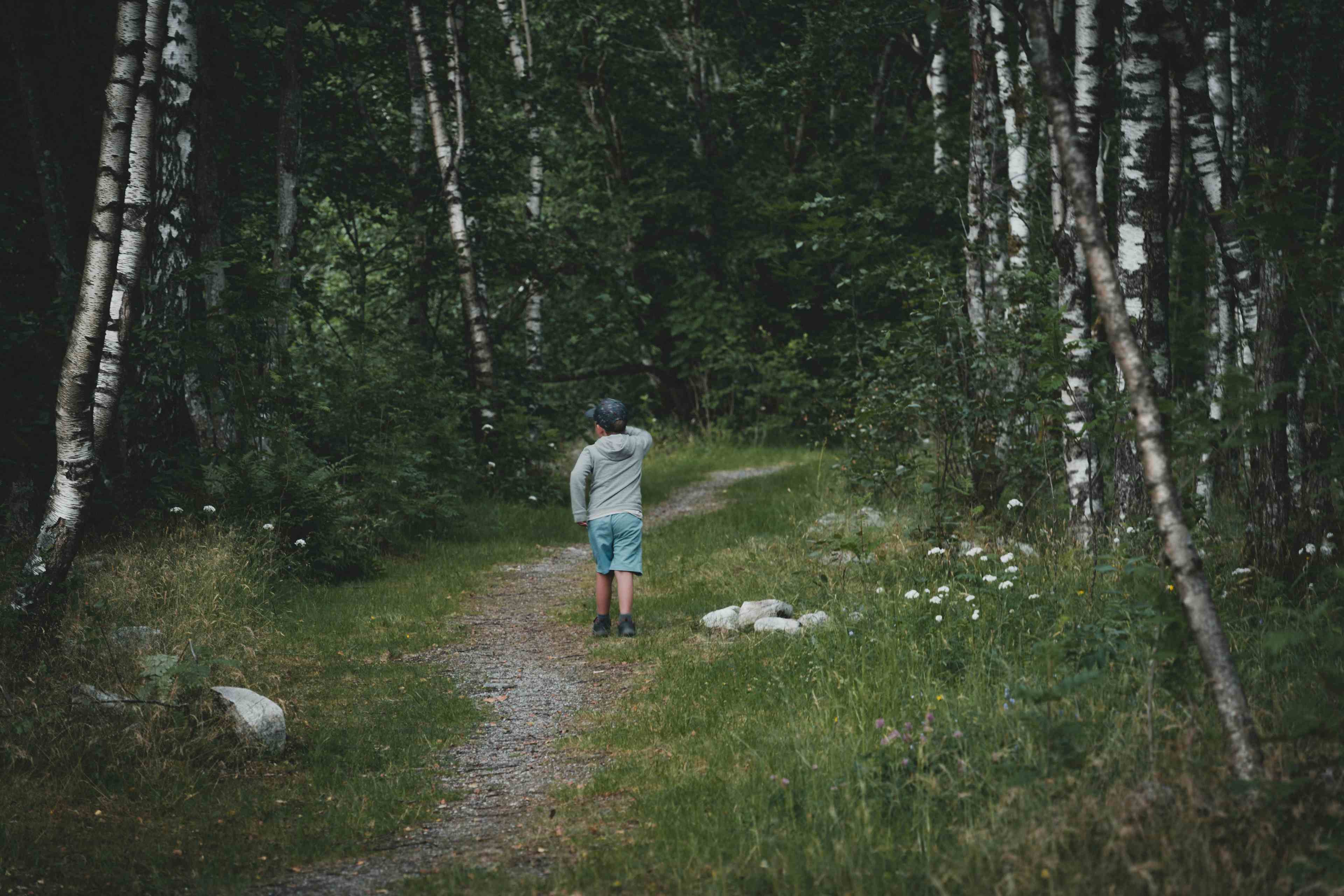 En liten gutt med en hov går over en bro i skogen.