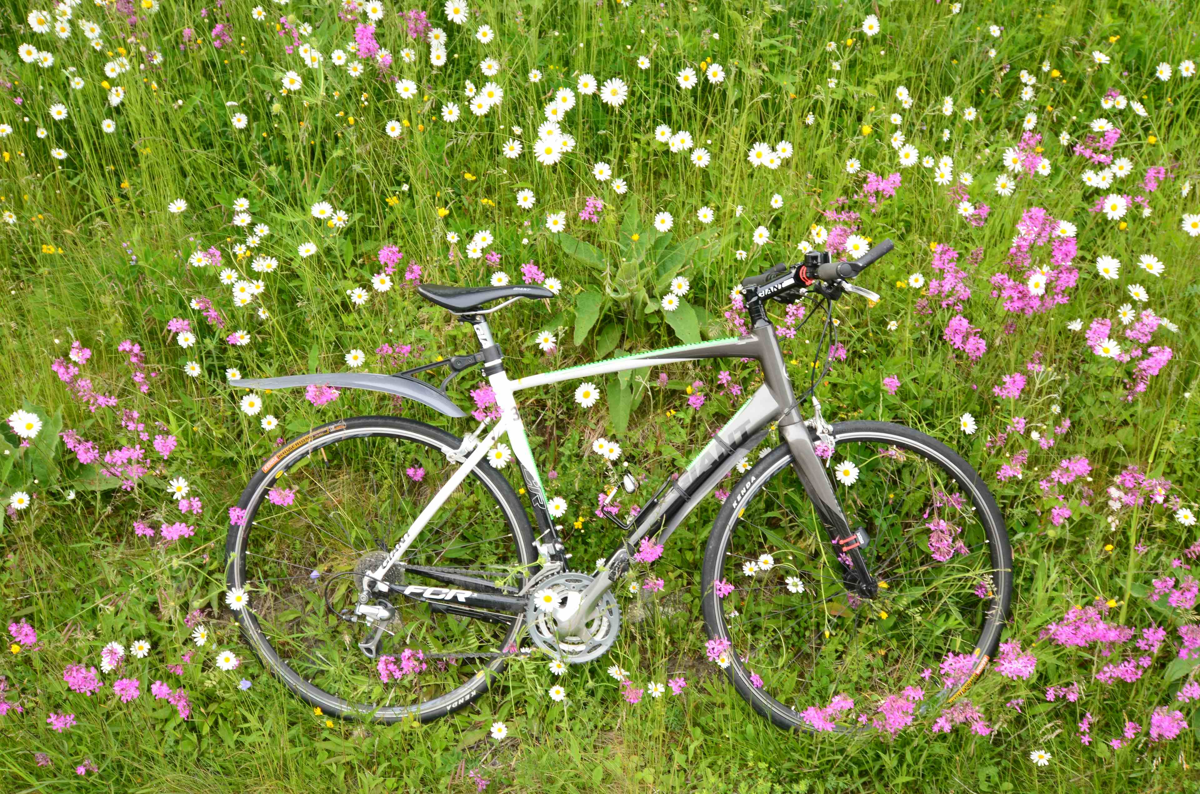 Bike Balestrand
