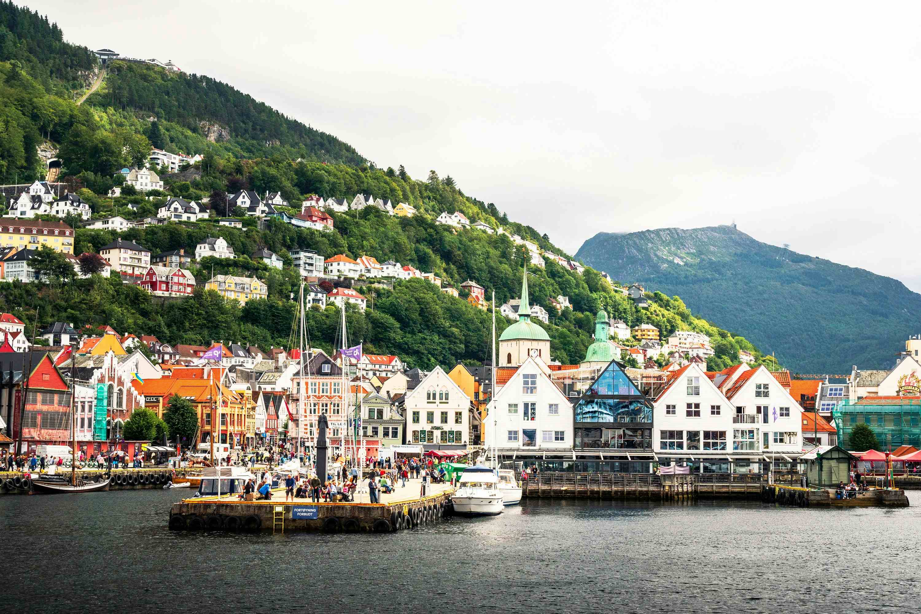 Fjordcruise Bergen - Alverstraumen