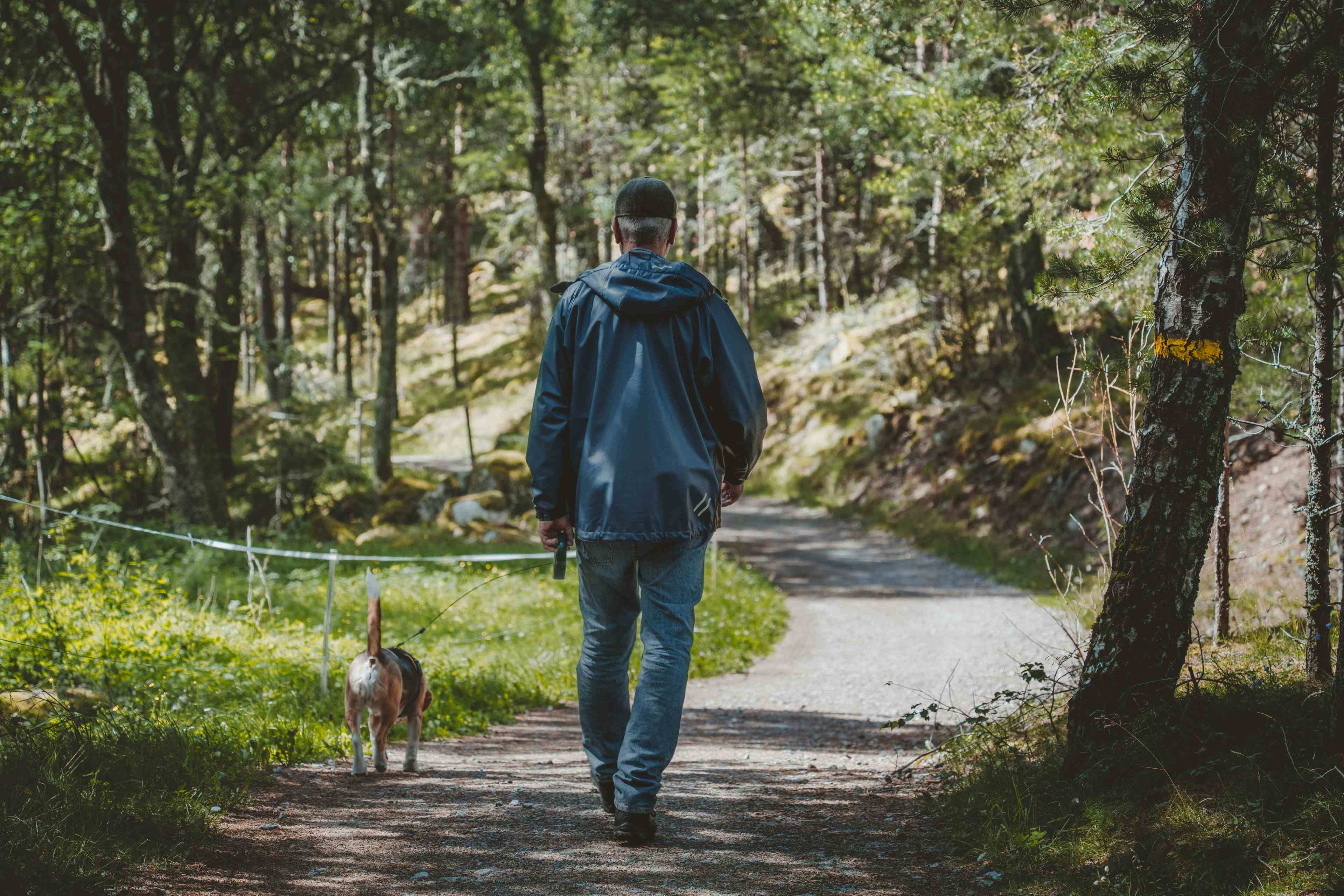 En mann går tur med hunden sin på en grussti i skogen.