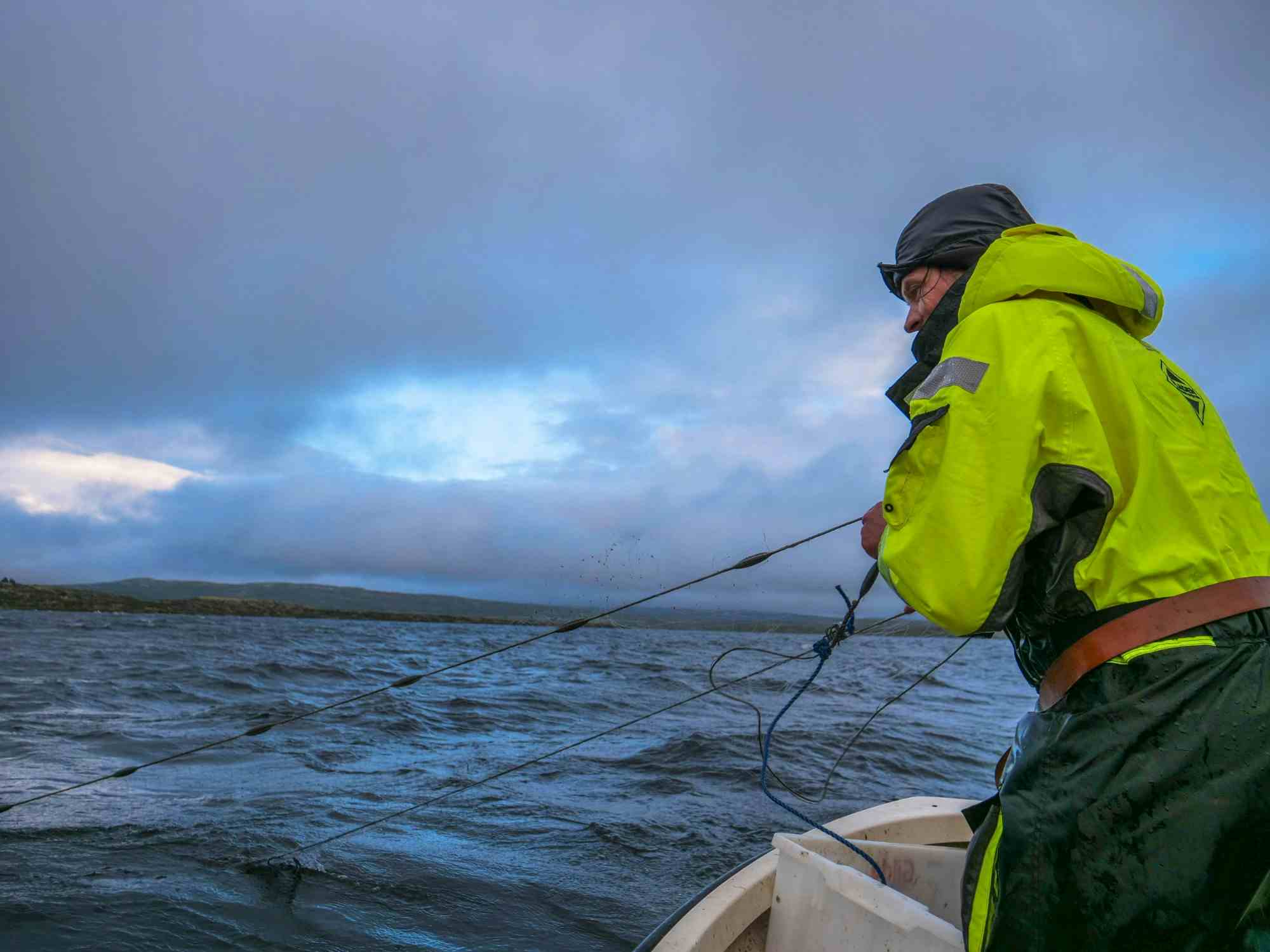 En mann drar inn fiskegarn fra en båt på Hardangervidda.