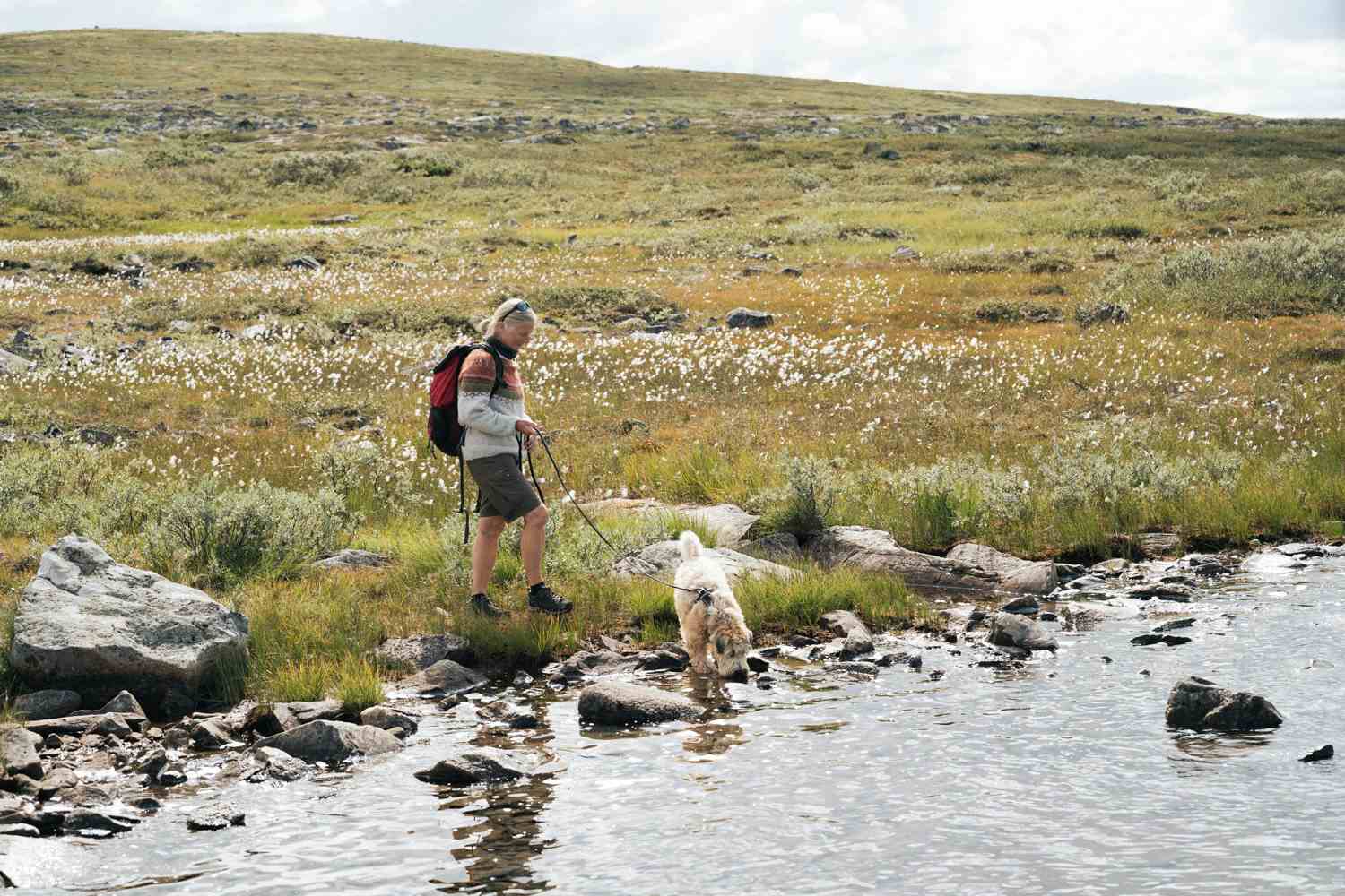 En kvinne med sekk og en hund som vasser i fjellvannet.