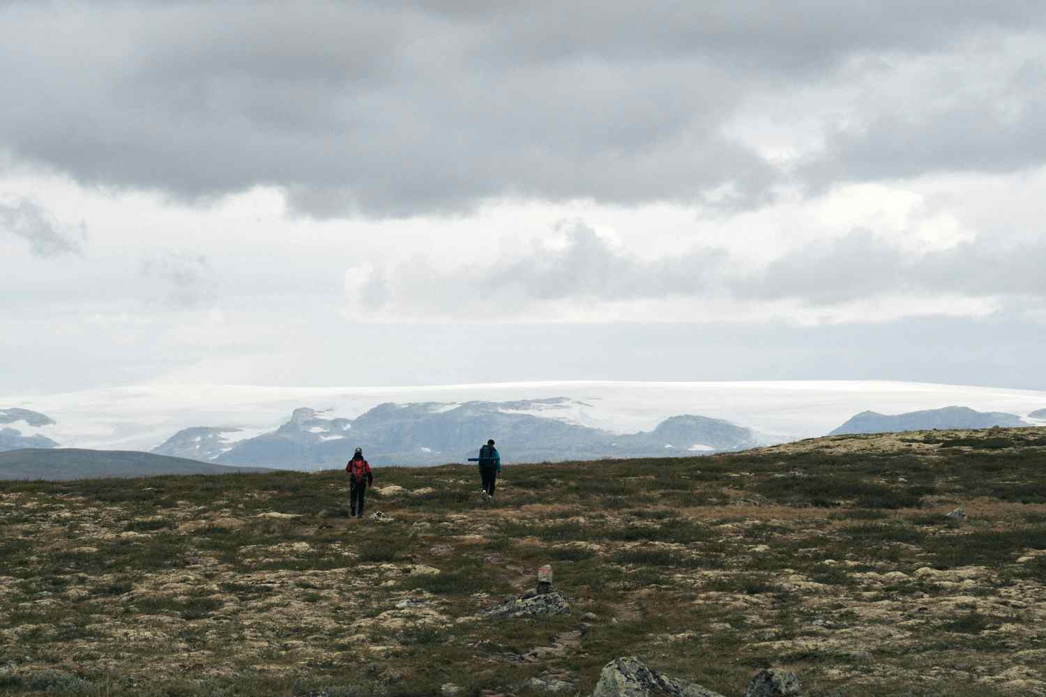 To turgåere på Hardangervidda, med utsikt over Hardangerjøkulen på avstand.