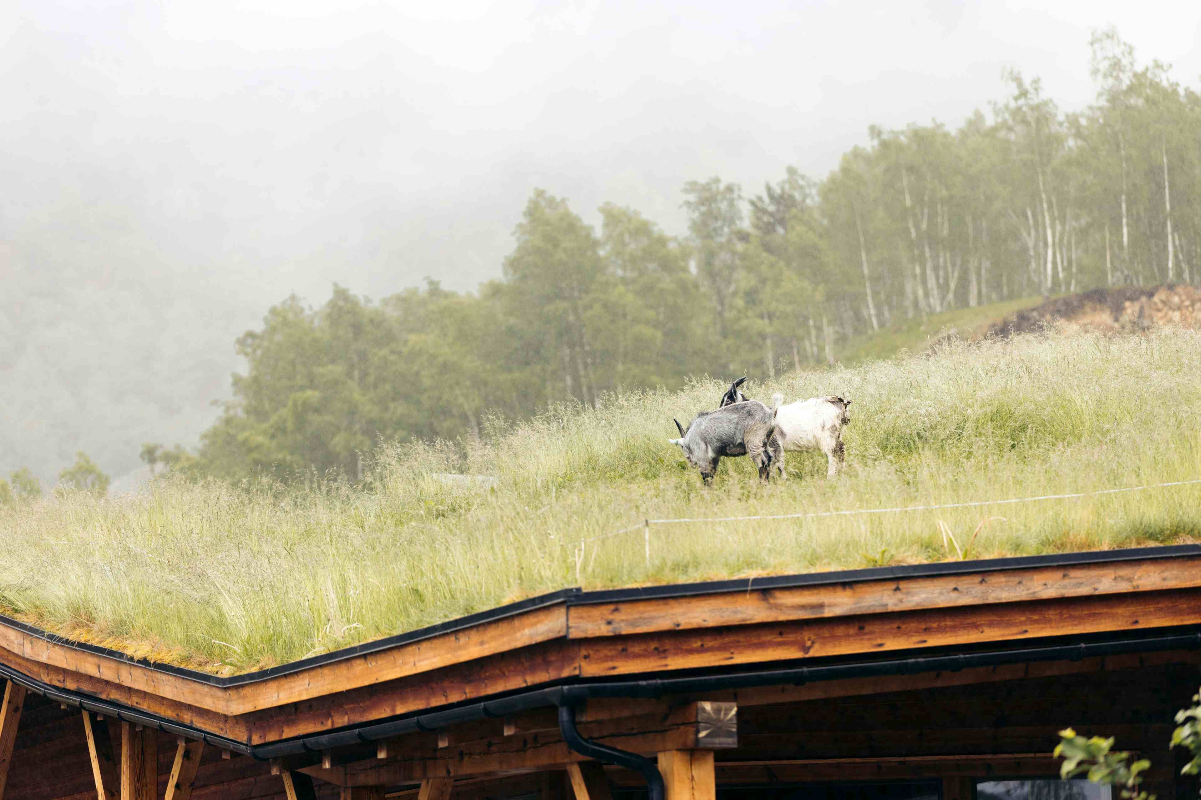Et dronebilde av Norsk Natursenter med hus og gårder i bakgrunnen.