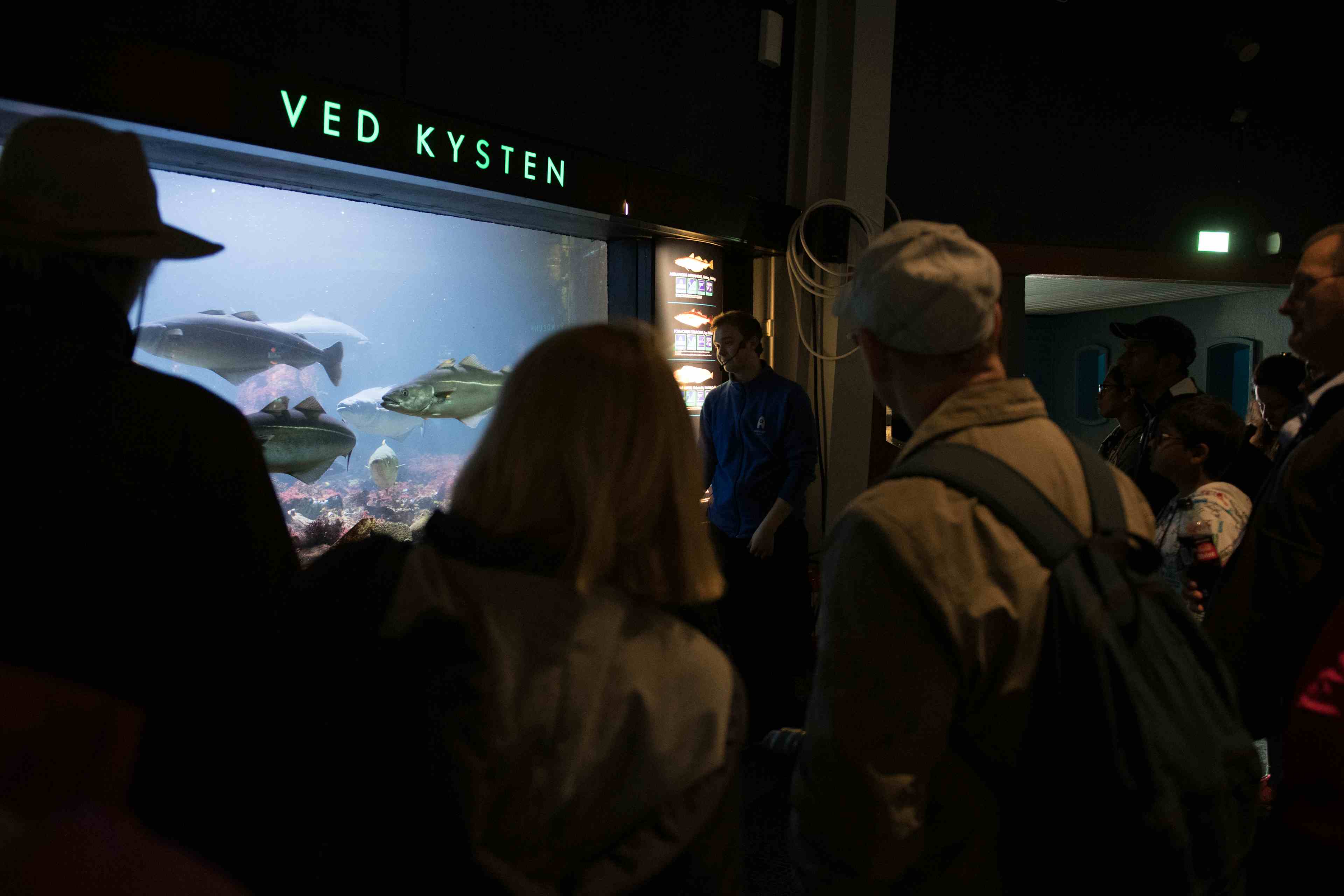 Akvariet i Bergen