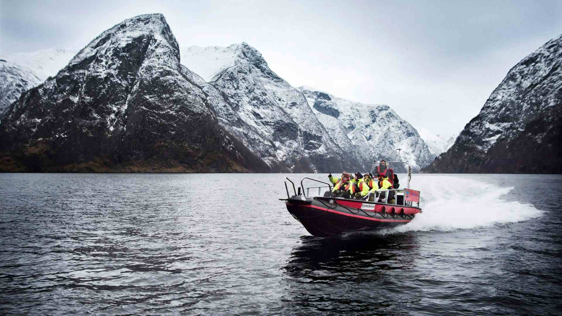 Vinter FjordSafari
