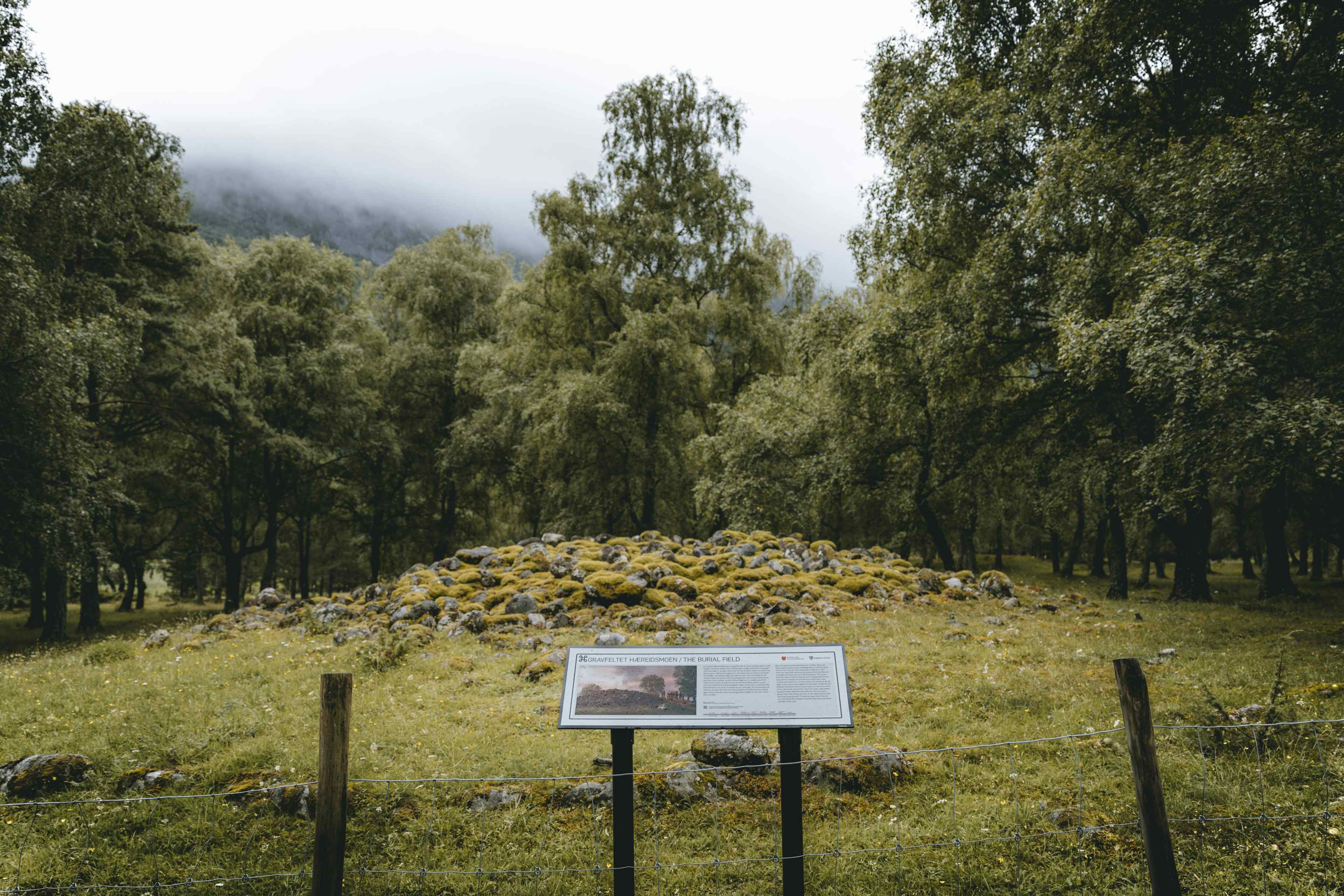 En informasjonstavle foran en vikinggrav.