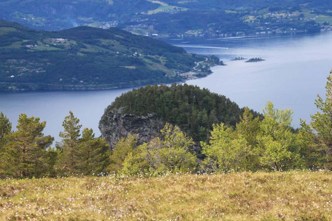 Utsikt over fjorden frå Gullbergnotten